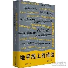 正版  地线上的诗流：外国诗的一种读 外国文学理论 娥娥李 著  娥娥李著 9787559846549