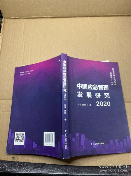 中国应急管理发展研究2020