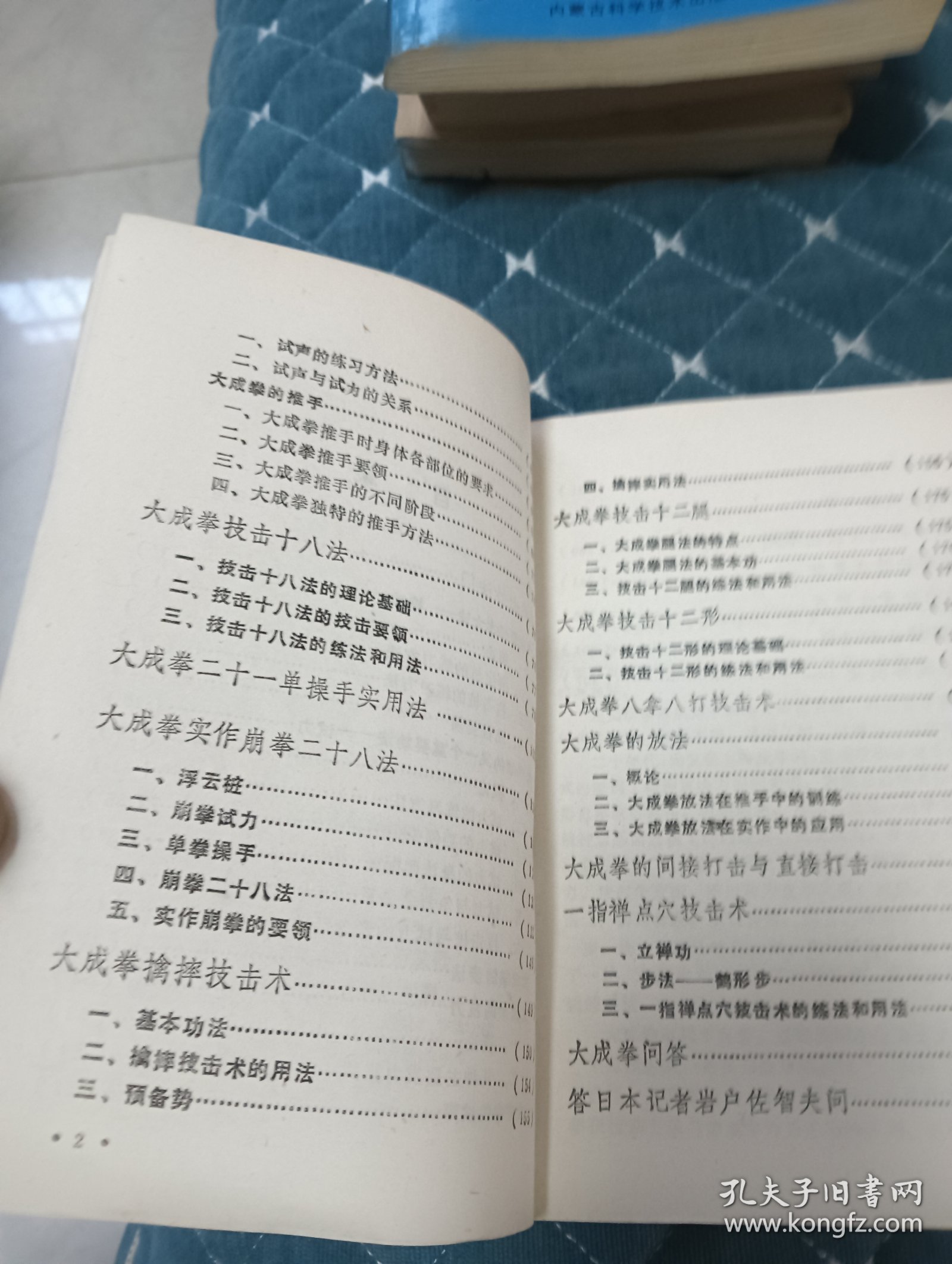 大成拳实物作绝技