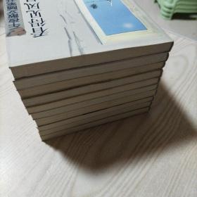 午夜散文随笔书系全十册（湿地，无成，重读古典，蔚蓝的梦，布衣，民间主题，星空与植物，人在边缘，世纪末的沉思，看得见风景的房间）