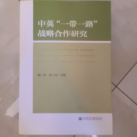 中英“一带一路”战略合作研究