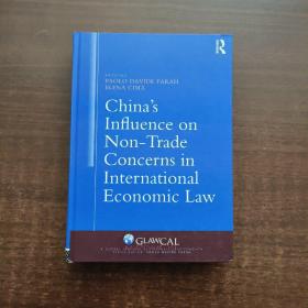 China's Influence on Non-Trsade Concerns in Internatonal