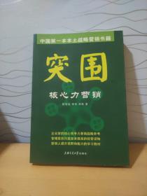 突围：核心力营销