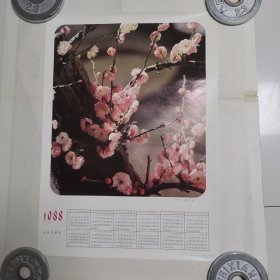 梅花1988年年画