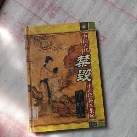 中国古代禁毁小说珍秘本集成 金屋梦 八段锦