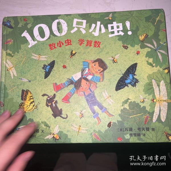 100只小虫 麦克米伦世纪