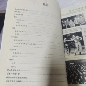 咏春拳 国内版 下 内页工整无字迹