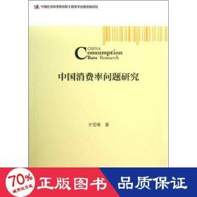 中国消问题研究 市场营销 王雪峰