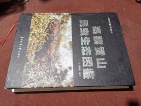 中国国家级自然保护区：高黎贡山昆虫生态图鉴