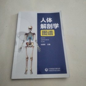 人体解刨学图谱