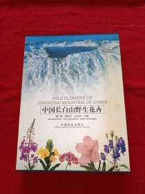 中国长白山野生花卉
