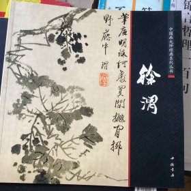 中国画大师经典系列丛书：徐渭