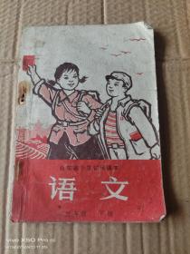 山东省小学试用课本语文五年级下册