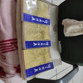 新刻绣像 续三国演义 上中下 全三册