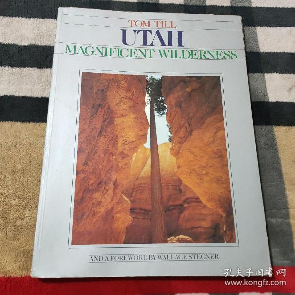 UTAH——MAGNIFICENT WILDERNESS (美术摄影集)