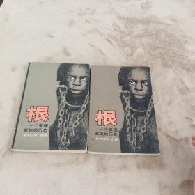 根(一个美国家族的历史)(上、下册)