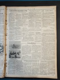 人民日报1956年7月5日