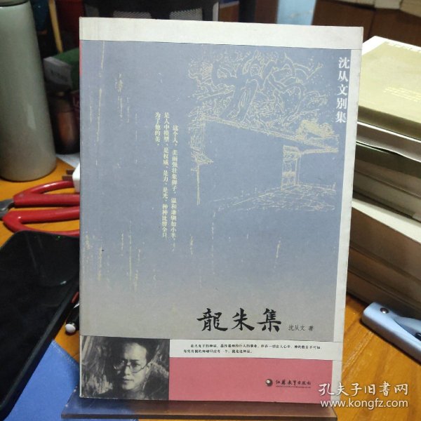 沈从文别集：龙朱集