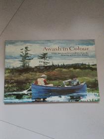 Awash in Colour:Great American Watercolours from the Museum of Fine Arts,Boston（缤纷色彩:伟大的美国水彩画，来自波士顿美术博物馆）英文版