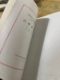 白雨斋词话