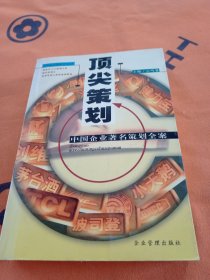 顶尖策划：中国企业著名策划全案