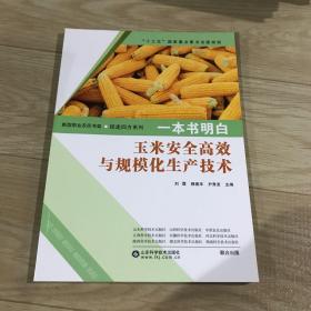 一本书明白：玉米安全高效与规模化生产技术