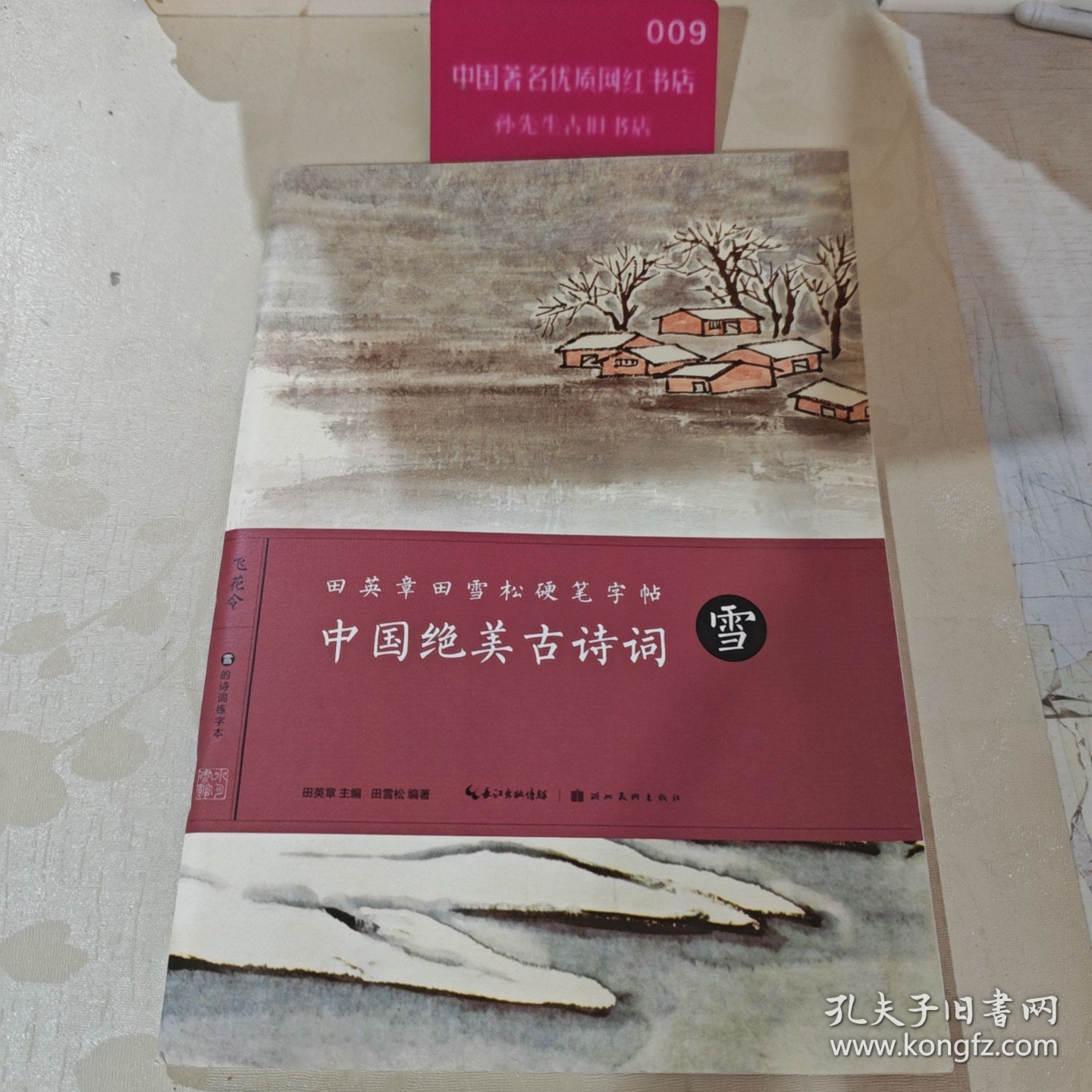 田英章田雪松硬笔字帖-中国绝美古诗词-雪H41133