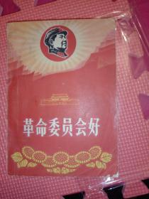 革命委员会好