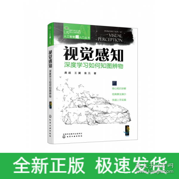 人工智能超入门丛书--视觉感知：深度学习如何知图辨物 ChatGPT聊天机器人入门