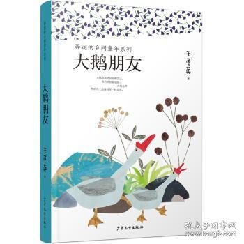 弄泥的乡间童年系列：大鹅朋友