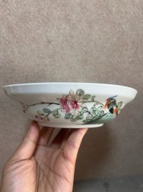 民国 粉彩花鸟盘 口径 20 高 5cm。 锦鸡牡丹，工细，全品。