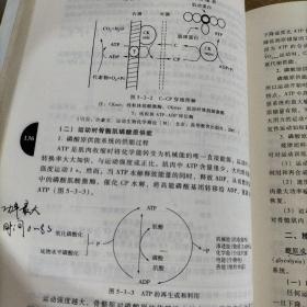 运动生物化学(第二版)