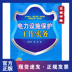 電力設(shè)施保護(hù)工作實(shí)務(wù) 9787512321847
