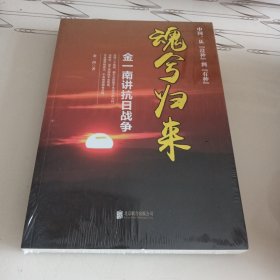 魂兮归来：金一南讲抗日战争