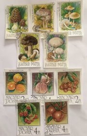 促销款 随机发 雕刻版 蘑菇邮票 水果 人物 动物飞机 火车邮票 主题票 国家票 喜欢外国邮票的朋友不要错过哦，欢迎来我店铺做客聊天，不定期更新中记得关注我
