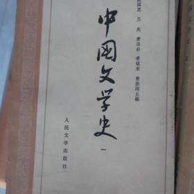 中国文学史1-4册