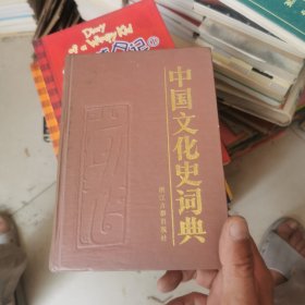 中国文化史词典（精装）