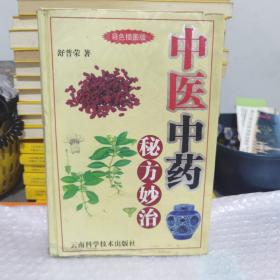 中医中药秘方妙治