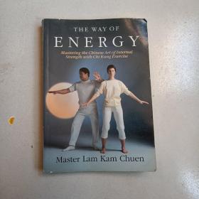 The Way of Energy