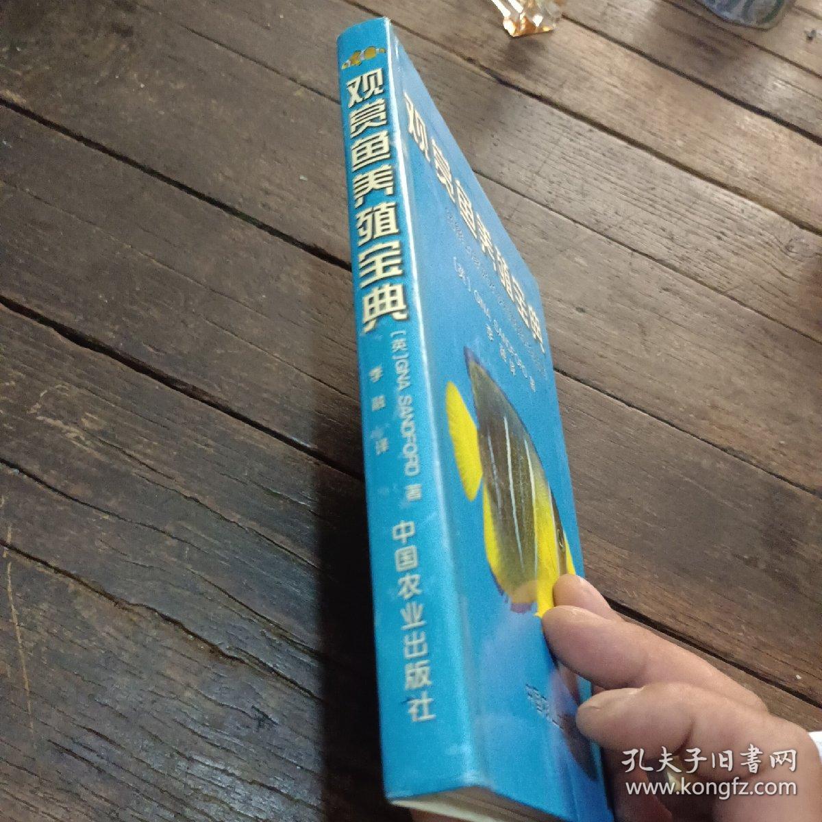 观赏鱼养殖宝典图解式家庭水族箱管理完全指南