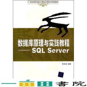 21世纪高等学校计算机应用技术规划教材：数据库原理与实践教程（SQL Server）