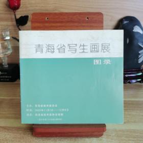 青海省写生画展图录