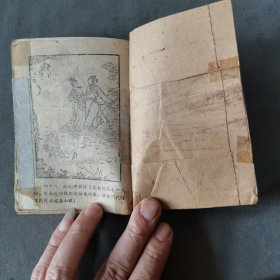 1960年8月 郑若泉繪图 凤仙与龙爪 一册