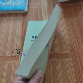 架空送电线路跨越放线施工工艺设计手册