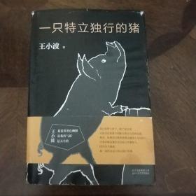 一只特立独行的猪