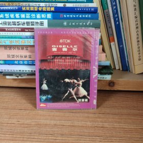 吉赛尔 DVD 双碟装光盘