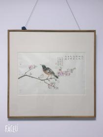 赵少俨 花鸟精品