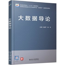 大数据导论 王道平，陈华 正版图书