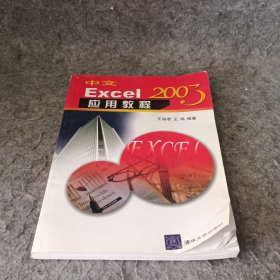 中文Excel2003应用教程