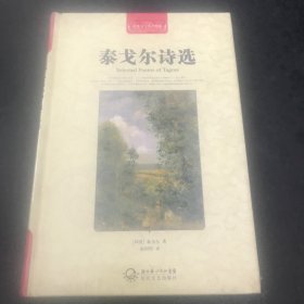 泰戈尔诗选（世界文学名著典藏全译插图本）